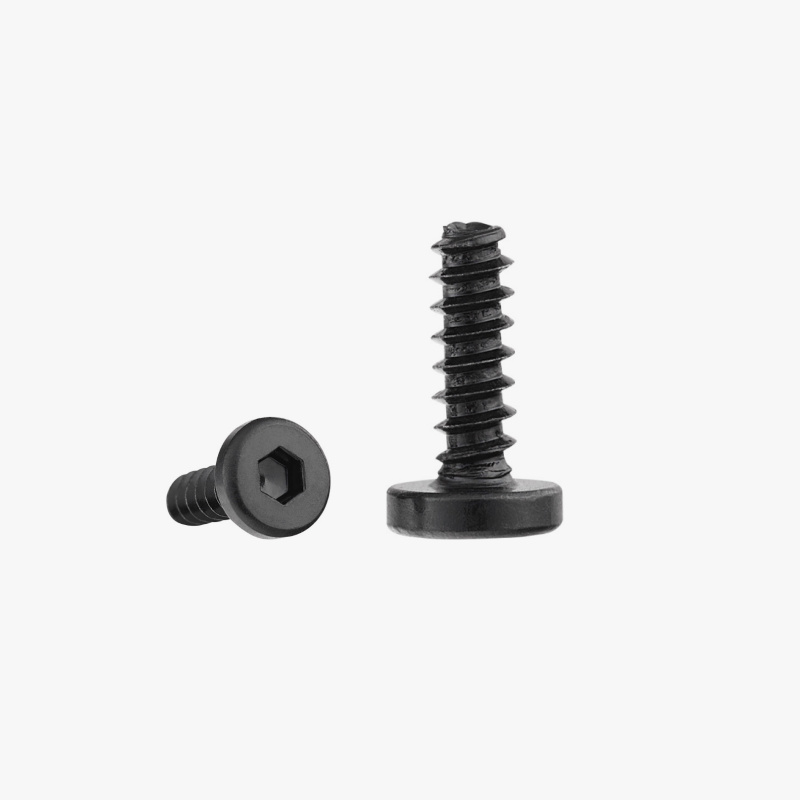 100個の新品オリジナルBT2.6x8円筒頭タッピングネジは - 3D Printing Bambu Lab のレビューと価格